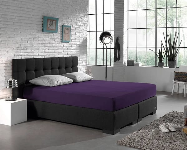 Dreamhouse Dubbel Jersey Hoeslaken Paars